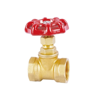 Prova de bronze oblíqua transversal da abrasão da válvula de parada DN20 da soldadura de extremidade